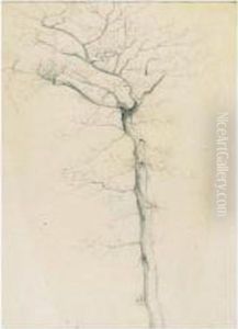 A Tree Study by Henry Farrer