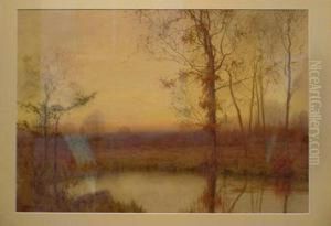 Wetlands by Henry Farrer