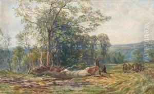 Felling Oaks, Colney Halch Felling Oaks, Colney Halch