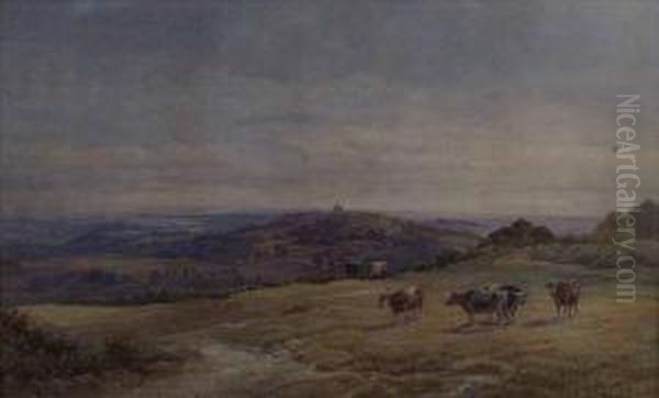 View Of Newlandscorner - view 1