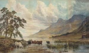 On Loch Shiel, Argyllshire thumbnail