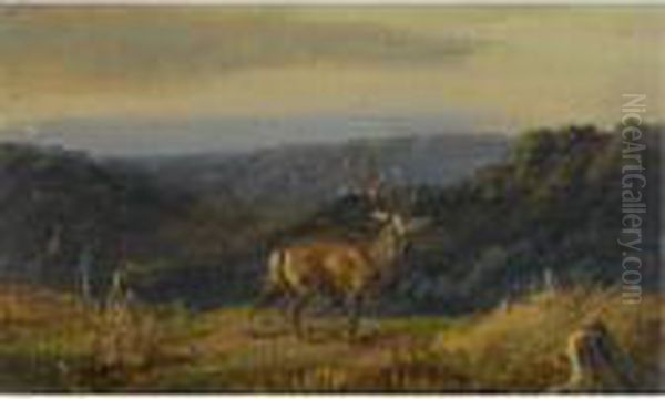 Flokkens Herre (lord Of The Herd) - view 1