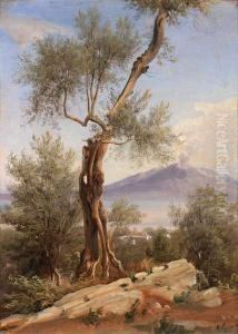 Sorento by Thomas Fearnley