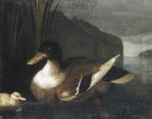 Attr. A Germano Reale by Domenico Maggiotto