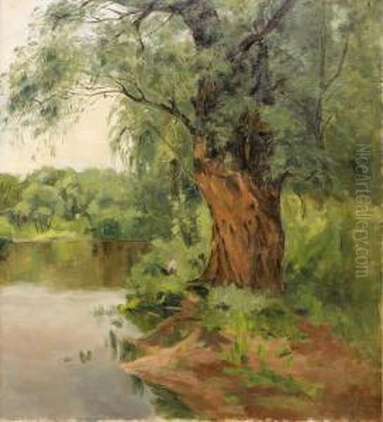 Tree By The Lake - view 1