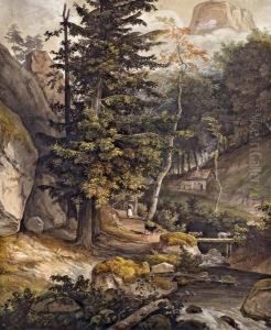 Bauerin Mit Ziegen Im Gebirge