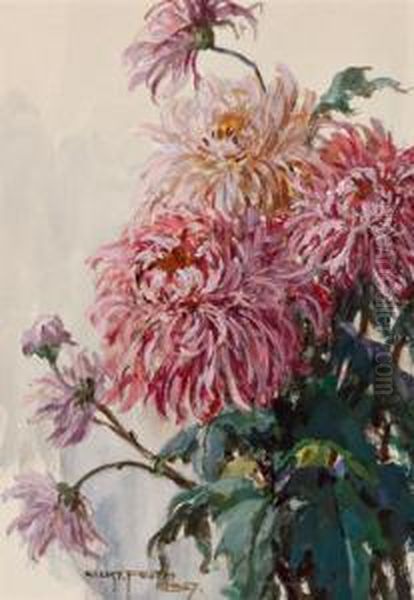 Chrysanthemen - view 1