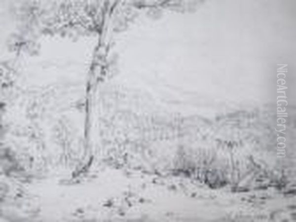 La Cava - view 1