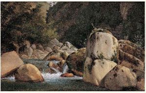 Torrent Torrent