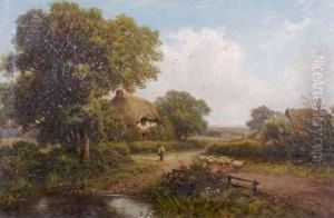 Country Landscape Country Landscape