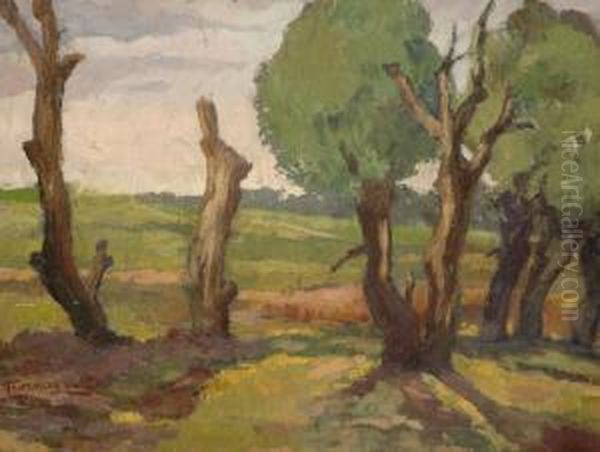 Tisztas - view 1