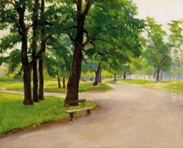 Grove In Nagybanya - view 1
