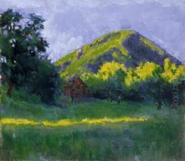 Nagybanya, Kereszthegy At Chestnut Tree Blossoming - view 1