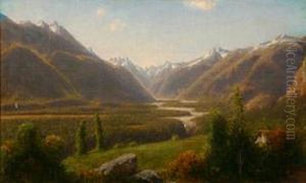 Cypress Valley, Chile - view 1
