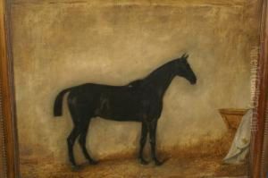 Black Sun, Hunter In A Loose Box by Claude L. Ferneley