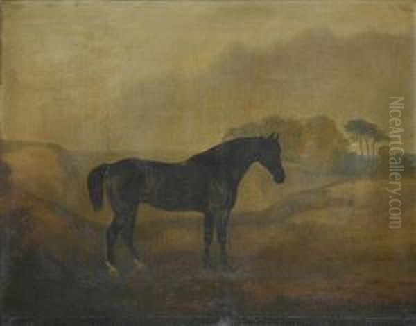 Hunter Inan Open Landscape - view 1