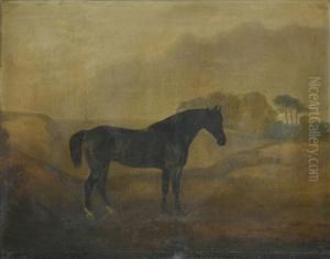 Hunter Inan Open Landscape