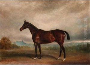 Bay Horse In A Landscape