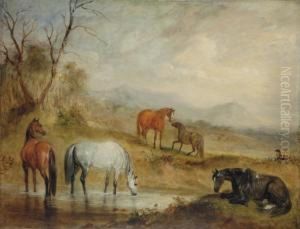 Horses At A Stream In An Extensive Mountainous Landscape Horses At A Stream In An Extensive Mountainous Landscape