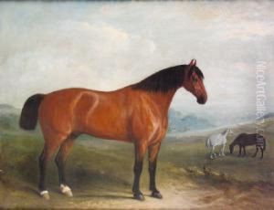 Portrait Of A Bay Hunter In 
Extensive Landscape With Grey And Chestnut Horses In The Middle Ground