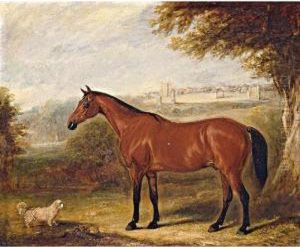 A Bay With A Dog