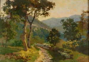 Dintorni Di Erba