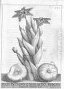 De Florum Cultura. by Giovanni-Battista Camuccini