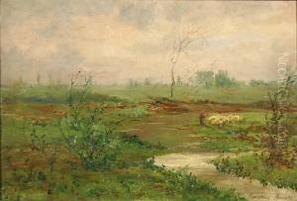Paesaggio - view 1
