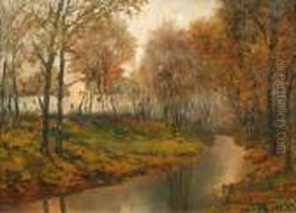 Ruscello Nel Bosco - view 1