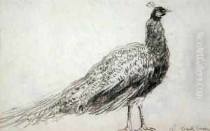 Peacock at Capel Curig, c.1845