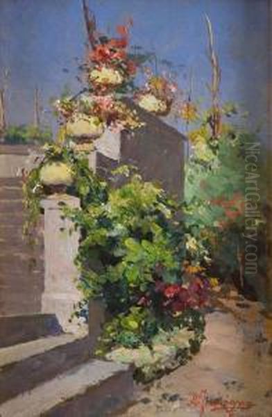 Piante In Giardino - view 1