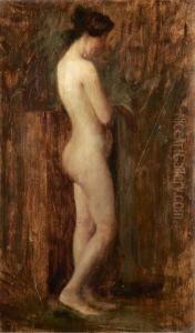 Nudo Femminile Di Profilo