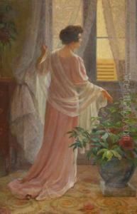 Dama Alla Finestra