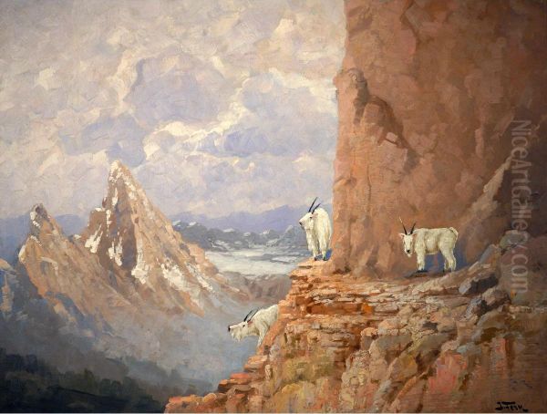 Glacier Park Goats - view 1