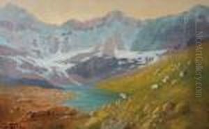 Hidden Lake - Glacier Park