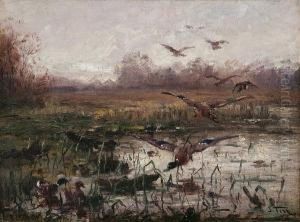 Mallards