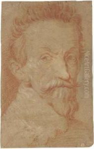 Portrait Of Francesco Andreini