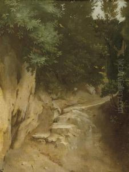 Study Of A Rocky Path - view 1