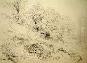Welsh Landscape