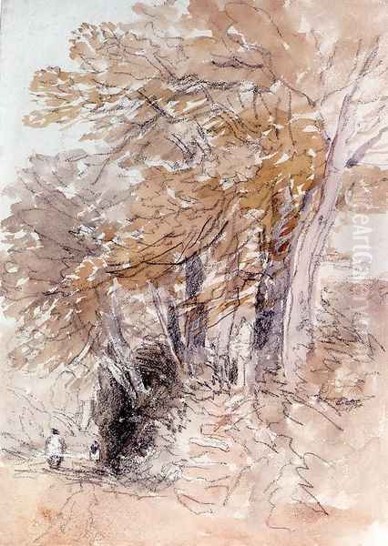Tree-Lined Lane With Steep Banks - view 1