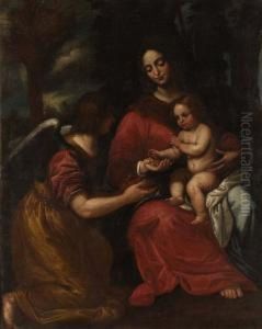 Madonna Con Bambino E Angelo Madonna Con Bambino E Angelo