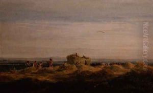 The Hayfield