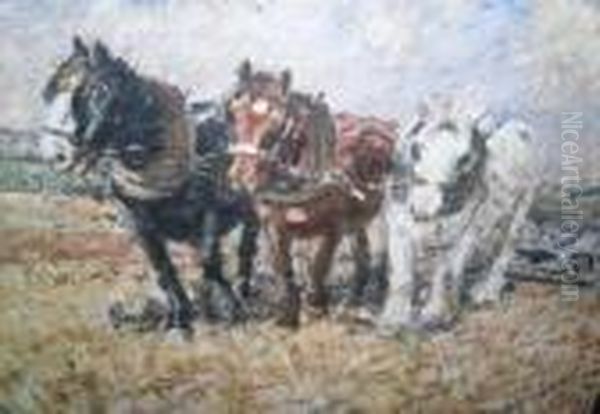 Plough Team - view 1