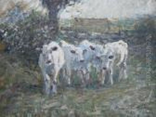 In The Meadows - view 1