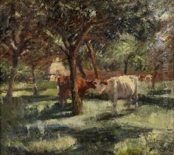 Cattle Shaded By Trees - view 1