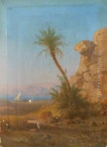 Nordafrikanische Landschaft Mit Palme Und Fluss