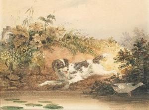 A Spaniel Surprising A Moorhen by Newton Fielding