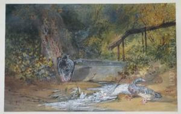 Abreuvoir Et Canards - view 1