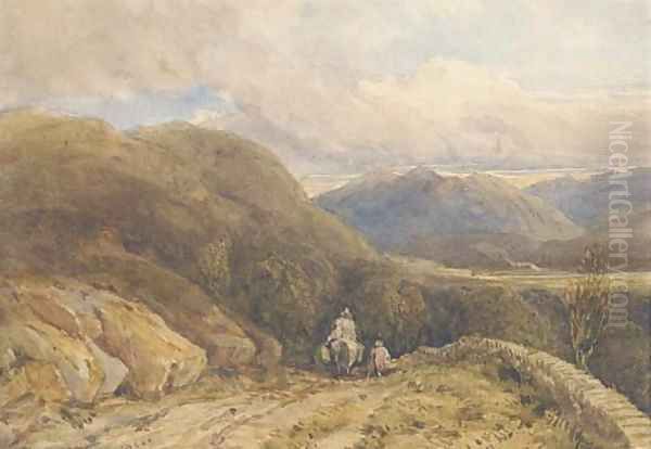 A Welsh mountain valley - view 1