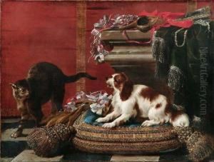 Cuscini, Nastri, Cane E Gatto
